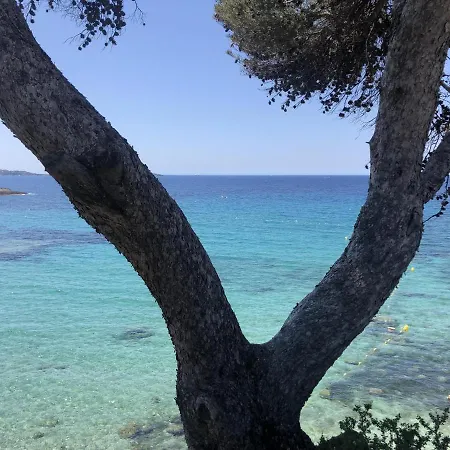 Les Baux 2 Sanary Sur Mer Exterior photo